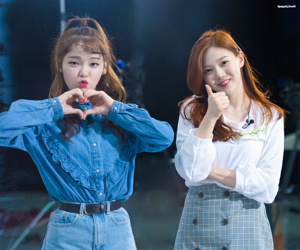 스타 오 이미지