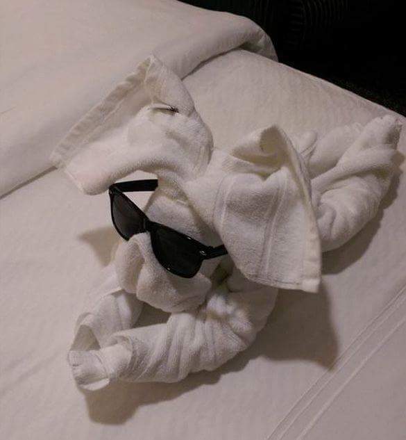 2308EA3C55246CC216A701