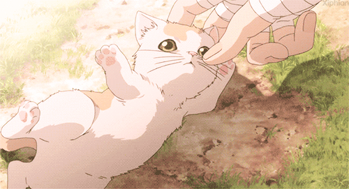 2D 고양이 | 인스티즈