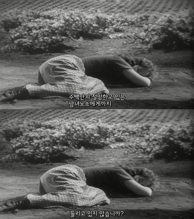 2015년 현재를 살고있는 인류를 향한 75년전 찰리 채플린의 일침.jpg | 인스티즈
