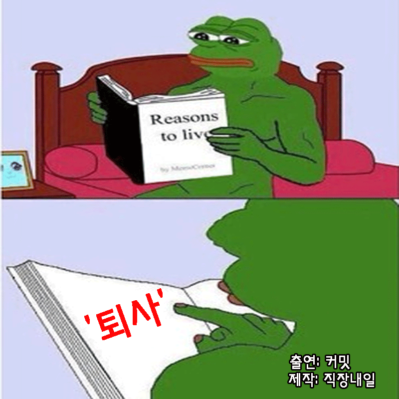 직장인 개구리가 퇴사를 해보았다(팩트폭행 주의) | 인스티즈