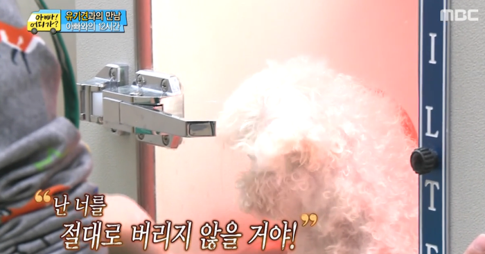 [아빠어디가] 유기견을 대하는 윤후의 태도 .jpg | 인스티즈