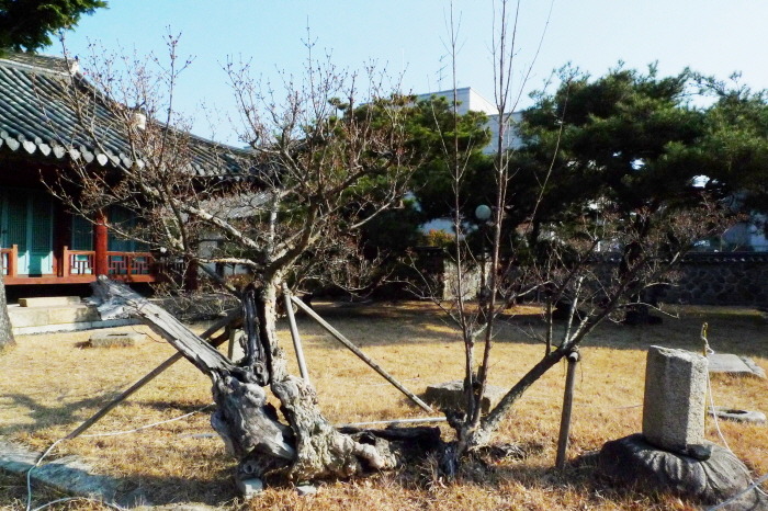 경주문화원 이미지
