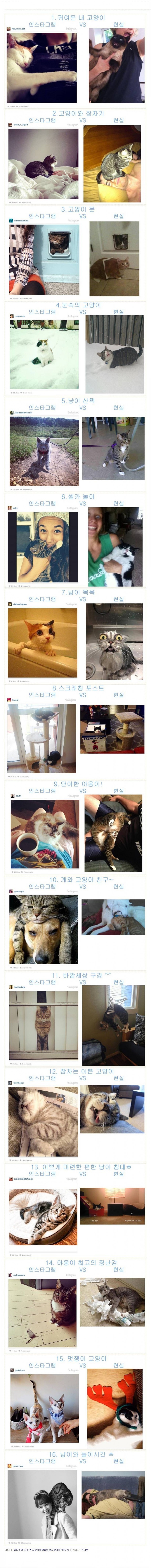 인스타 VS 현실 | 인스티즈