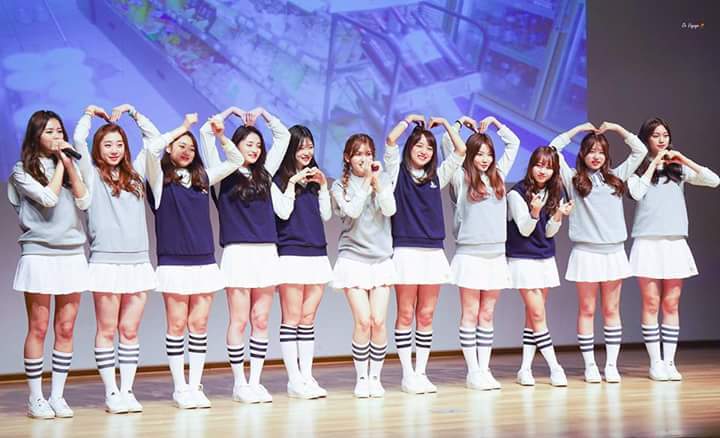 오아이 이미지
