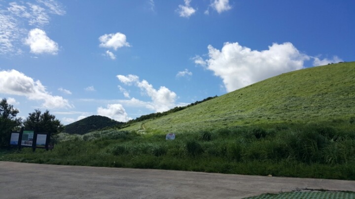 제주도 여행할때 무조건 가야하는곳 | 인스티즈
