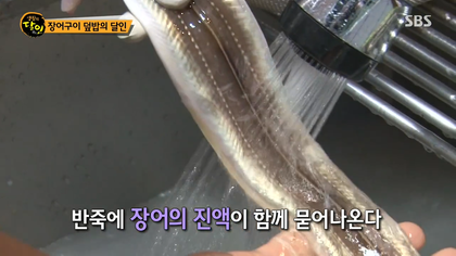 생활의달인 김해 장어덮밥.jpg | 인스티즈