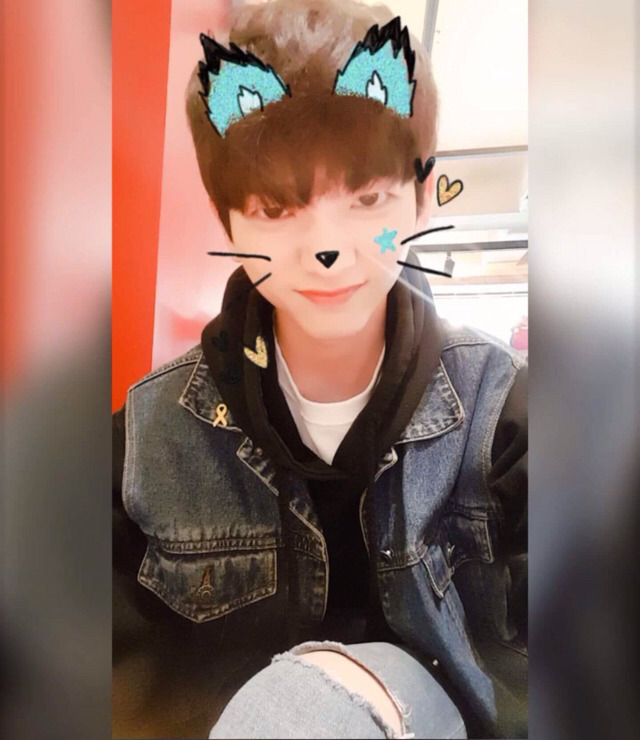 노란 리본과 함께 있는 프로듀스 연습생 | 인스티즈
