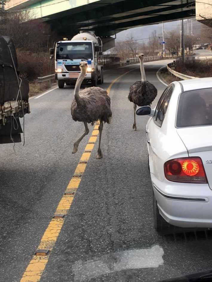 평화로운 대전의 오후 | 인스티즈