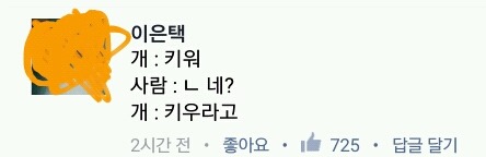 개 : 키워 / 최씨 : ㄴ..네??? / 개 : 키우라고 | 인스티즈