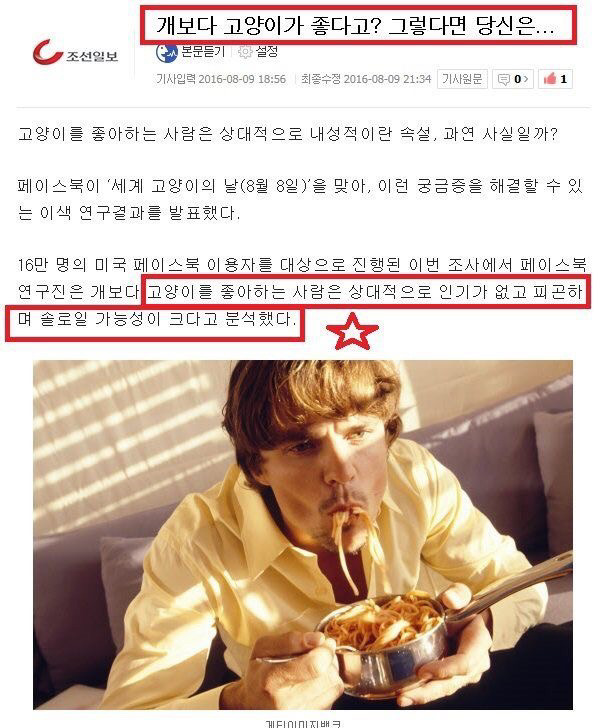 고양이 좋아하세요? | 인스티즈