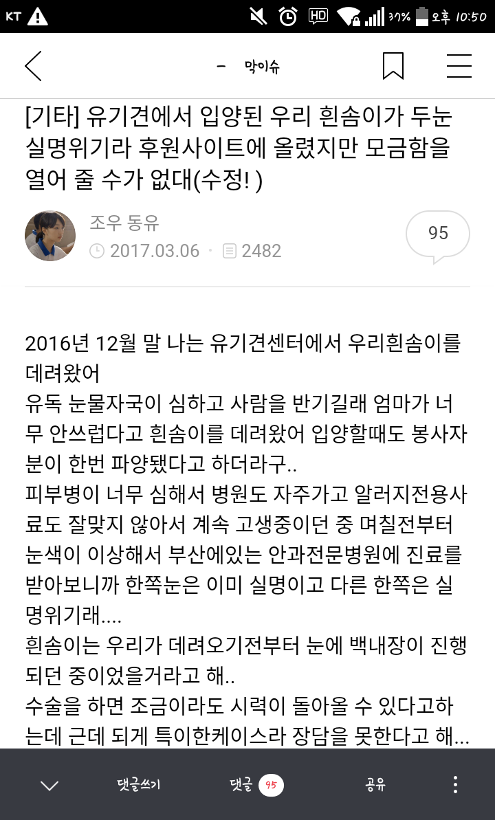 유기견이었던 우리 흰솜이가 두눈 실명위기에 처해있어 욕먹을 각오하고 글 올려.. | 인스티즈