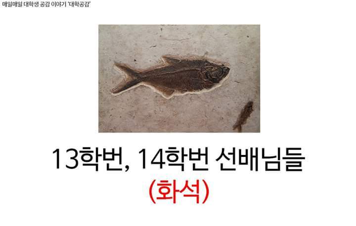 16학번들이 만나게 될 선배님들 | 인스티즈