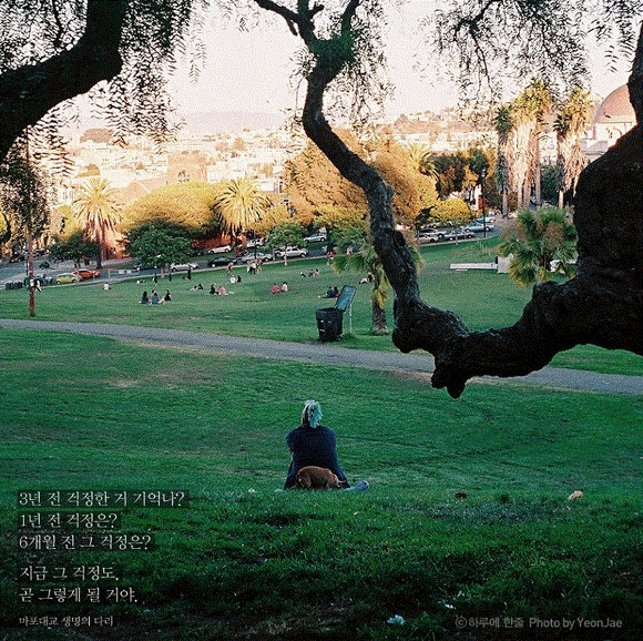 평생 삶의 결정적 순간을 찍으려 발버둥 쳤으나 삶의 모든 순간이 결정적 순간이었다 | 인스티즈