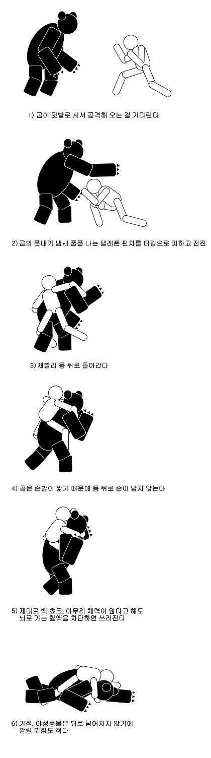 야생에서 곰을 만나면 도망가지 말고 싸워야한다.jpgif | 인스티즈