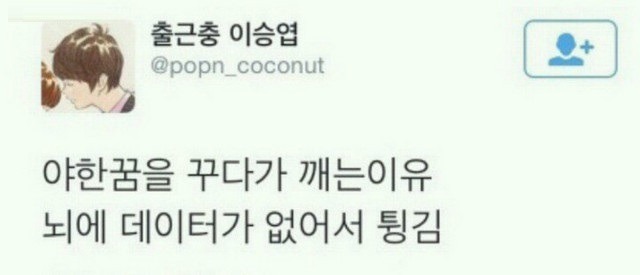야한 꿈을 꾸다가 깨는 이유 | 인스티즈