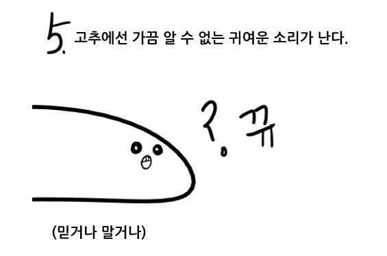 여자는 잘 모르는 고추의 비밀.jpg | 인스티즈