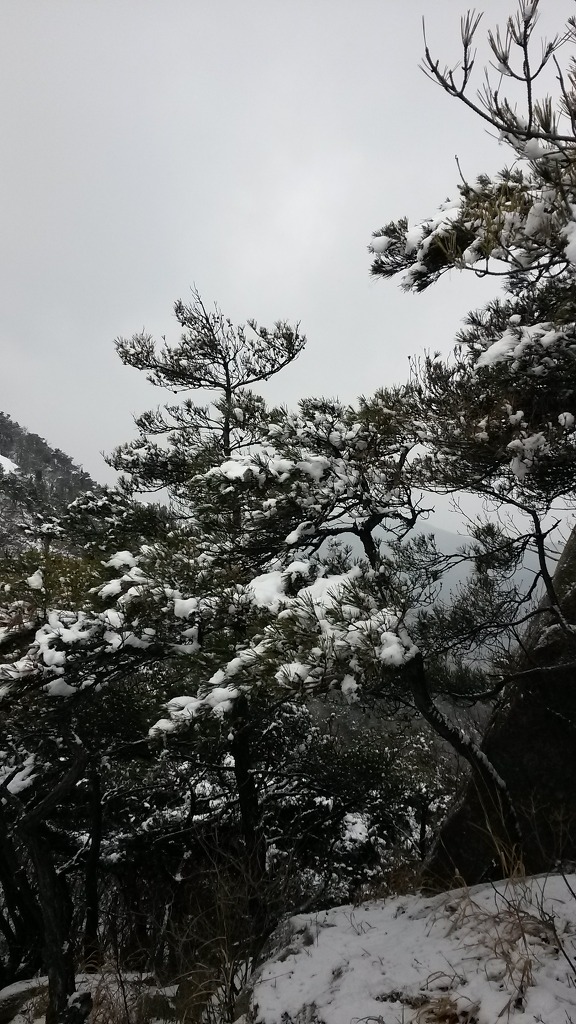 용봉산자연휴양림 이미지