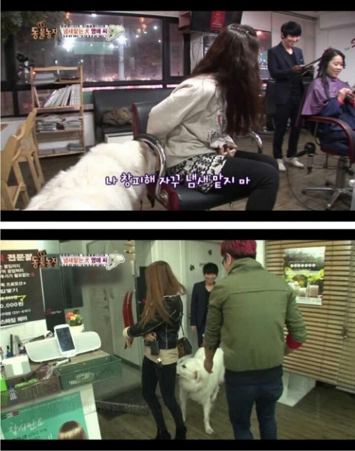 여자만 따라다니는 개 | 인스티즈
