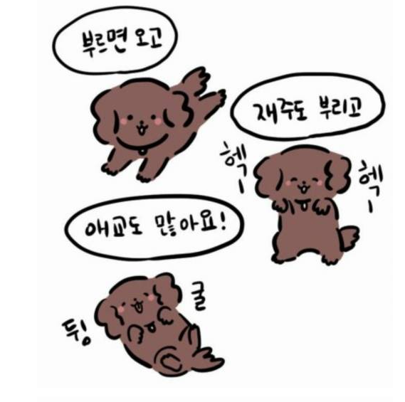 고양이와 강아지 | 인스티즈