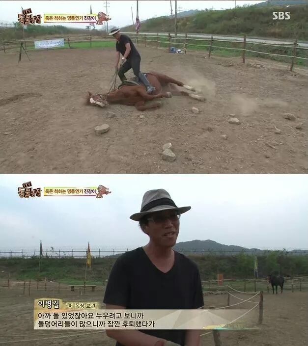 죽은척 하는 말 | 인스티즈