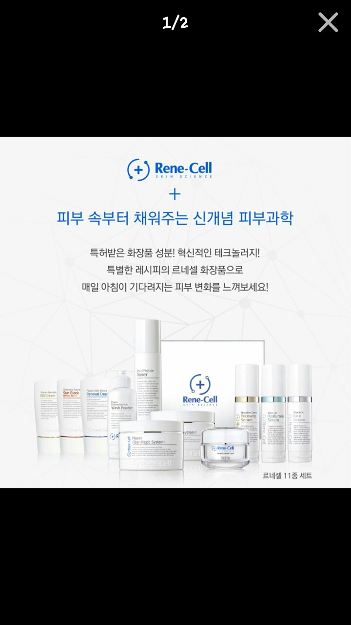 르네셀 이미지