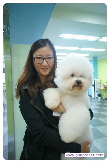 프로펫애견미용학원 이미지