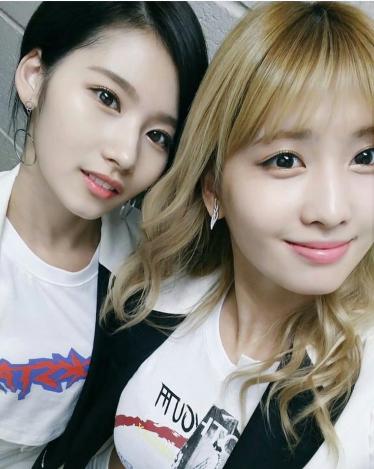 트와이스 흑사나 금모모 | 인스티즈