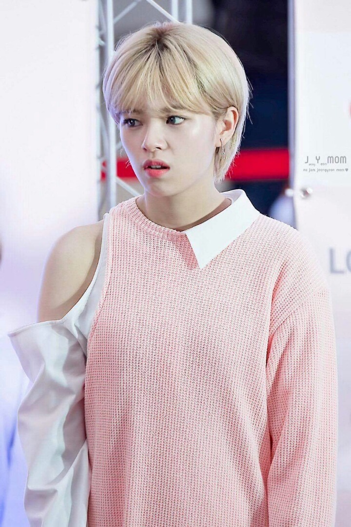 정연이 지효 | 인스티즈