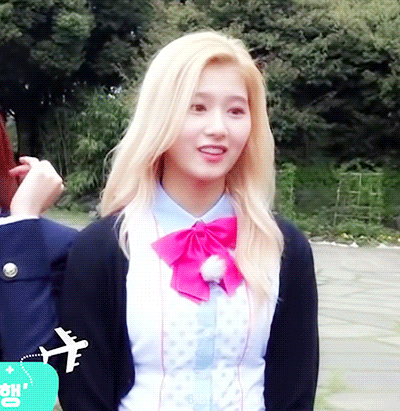 트와이스에서 시바견을 맡고있는 멤버.gif | 인스티즈