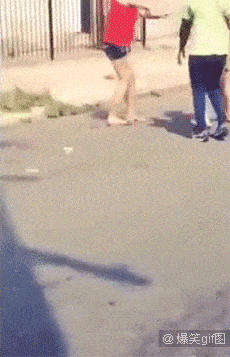 그냥 벽돌을 끌고다니지 그러세요...gif (분노/충격주의) | 인스티즈