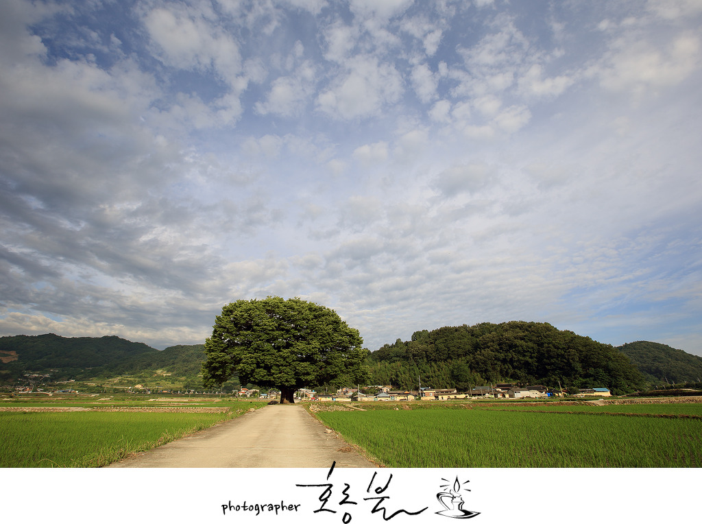 야로고등학교 이미지