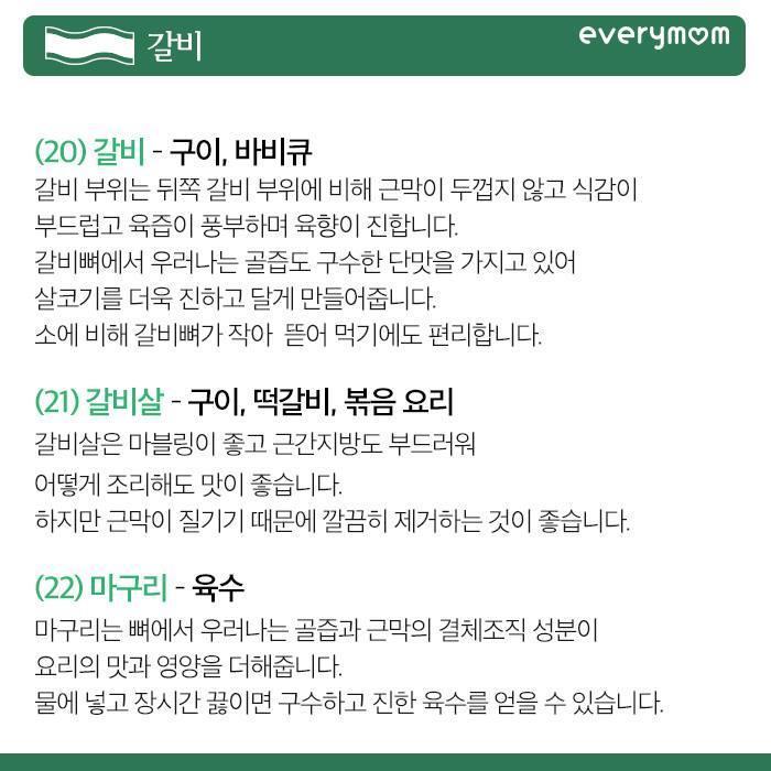 돼지고기의 모든 것 | 인스티즈