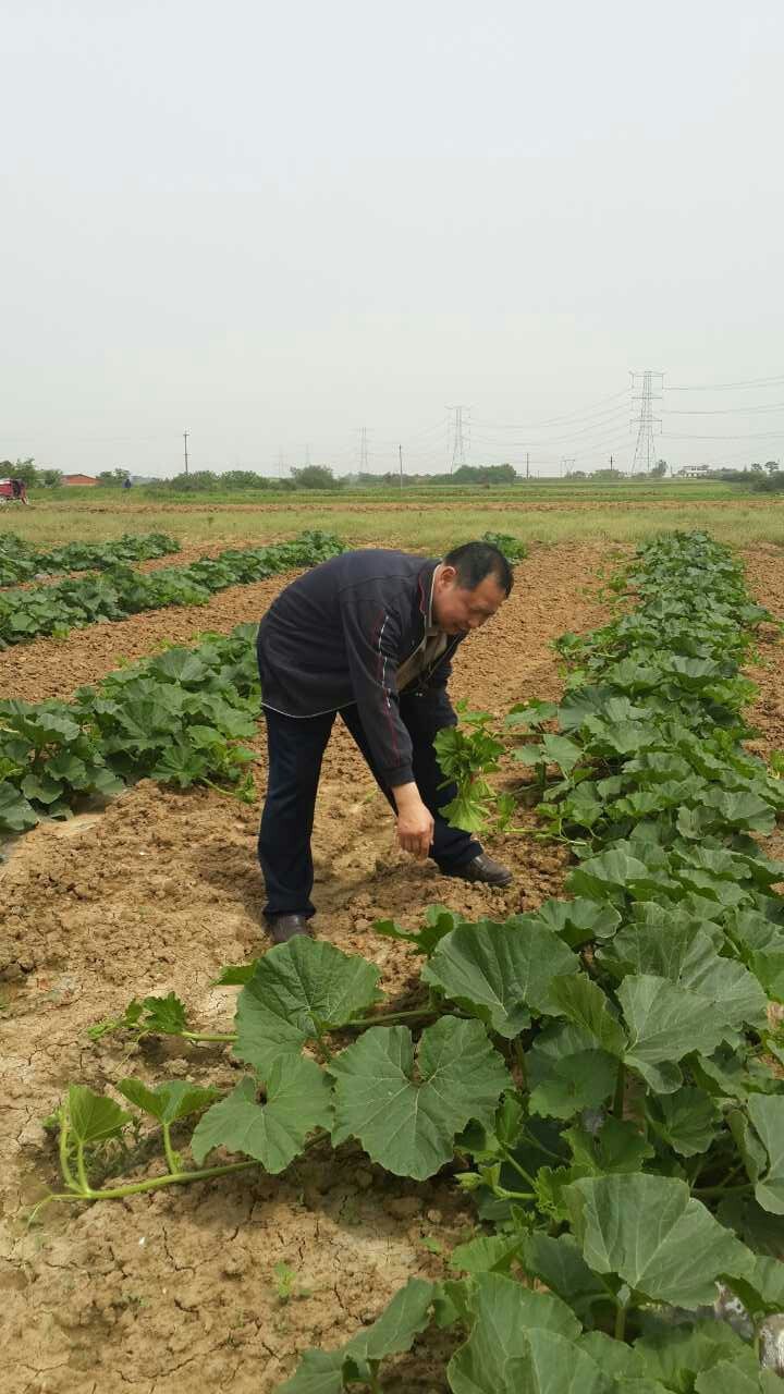 금해중국식품 이미지