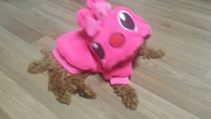 핑크토끼 이미지