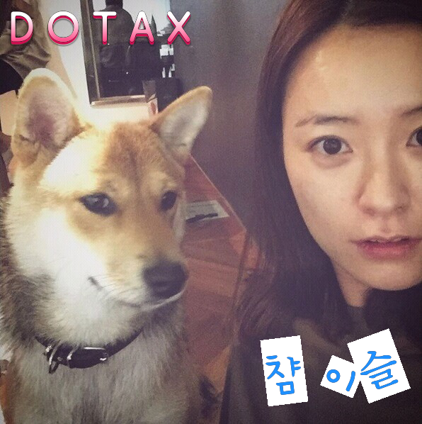 자살vs타살 | 인스티즈