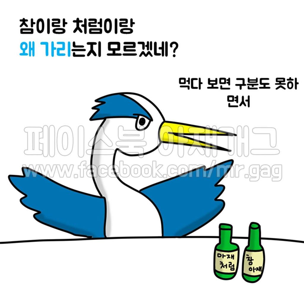 새들이 술 마실 때 | 인스티즈