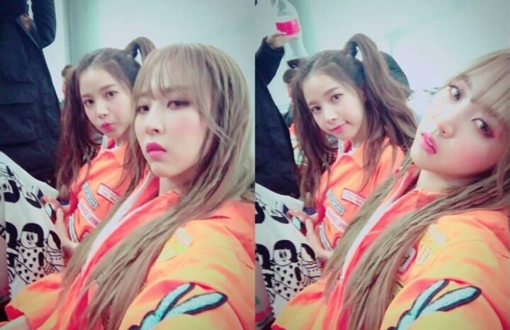 별콩 이미지