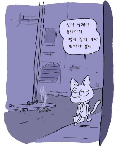 길을 잘못 들어간 고양이 | 인스티즈