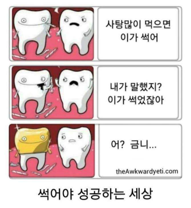 썩어야 성공하는 세상.jpg | 인스티즈