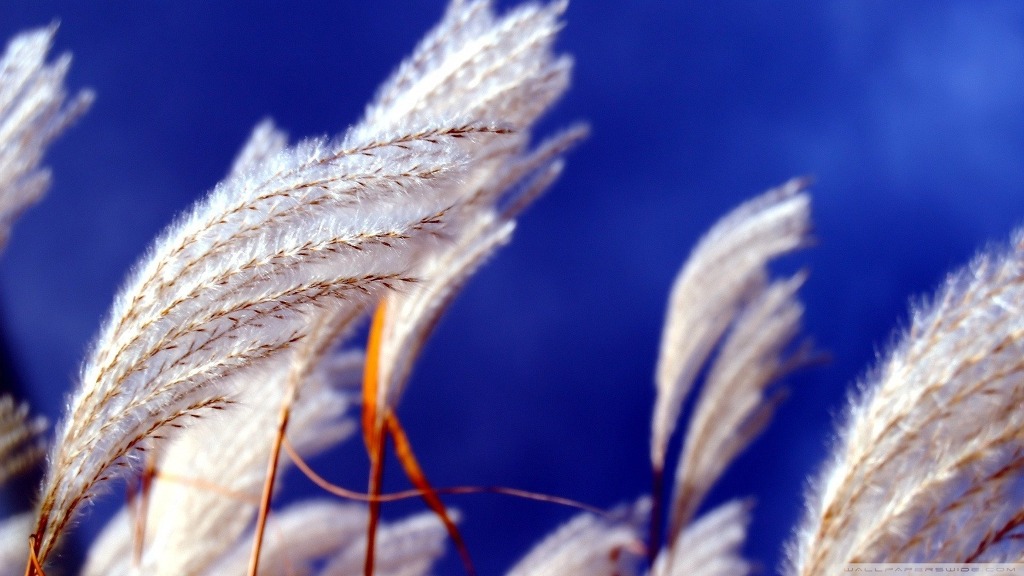 바람이 느껴지는 사진.jpg | 인스티즈