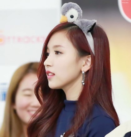 묘이 미나 | 인스티즈