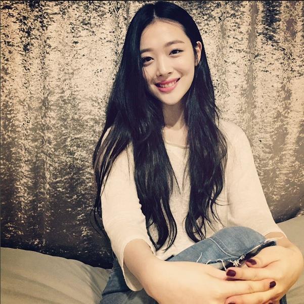연예인들이 키우는 반려동물(반려묘) | 인스티즈