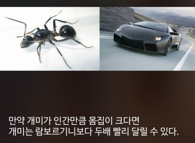 우리가 몰랐단 16가지 | 인스티즈