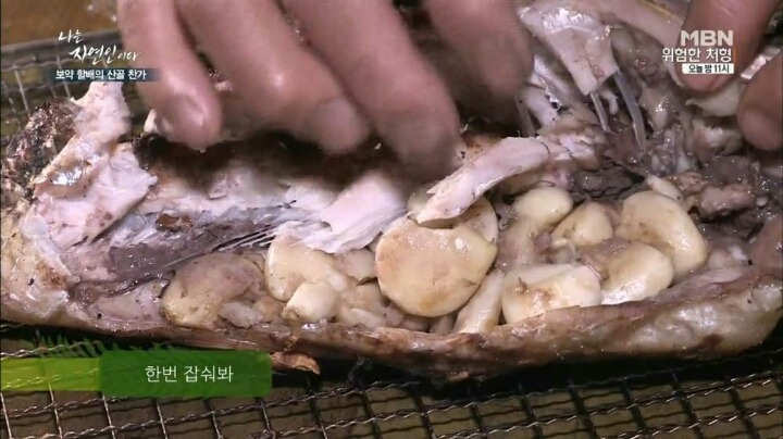 나는 자연인이다 마늘성애자 (마늘주의) | 인스티즈