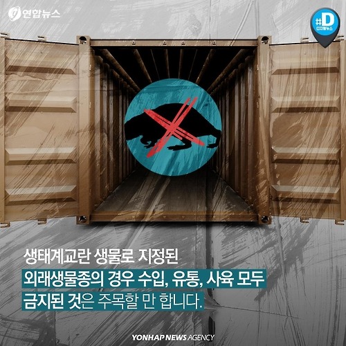 다시 관심받는 뉴트리아의 항변 .. | 인스티즈