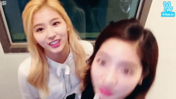[트와이스] 둘이 있으면 너무 귀여운 사나랑 다현이(움짤) | 인스티즈