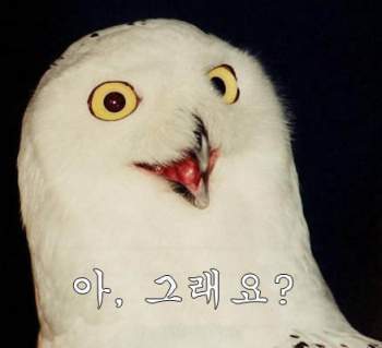왠지모르게 괜히 기죽고 나오는 장소 TOP3 | 인스티즈