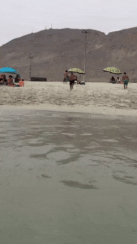 오버워치 재밌는 짤들. gif | 인스티즈