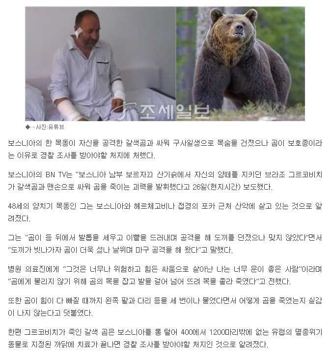 곰 쉽게 잡는방법 | 인스티즈